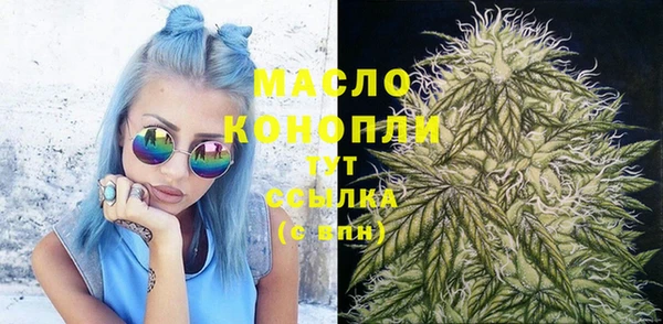 mix Богородицк