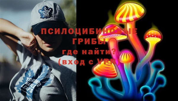 MDMA Premium VHQ Дмитровск