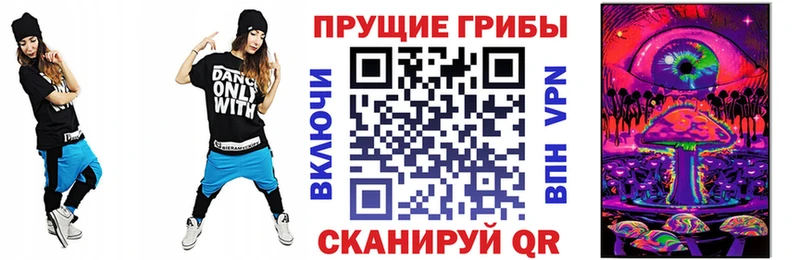 Псилоцибиновые грибы Psilocybine cubensis  Змеиногорск 